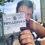 Photo by Stephan 👨‍🌾🏃‍♂️🏳️‍🌈 (@helloSt3phan)