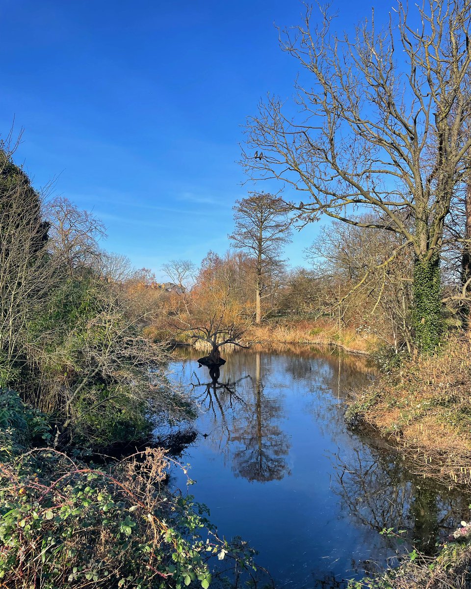 adrianpgibson's tweet photo. Happy February everyone 💙

#february #bluesky #lunchtimewalk #theponds #brockwellpark #parklife #hernehill #lambeth #london https://t.co/gflJHfPDT4