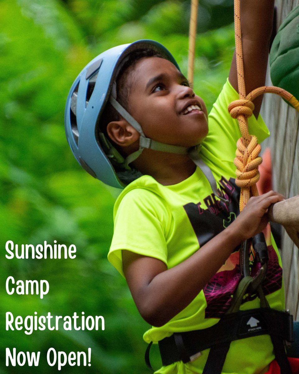 Sunshine Camp tweet media