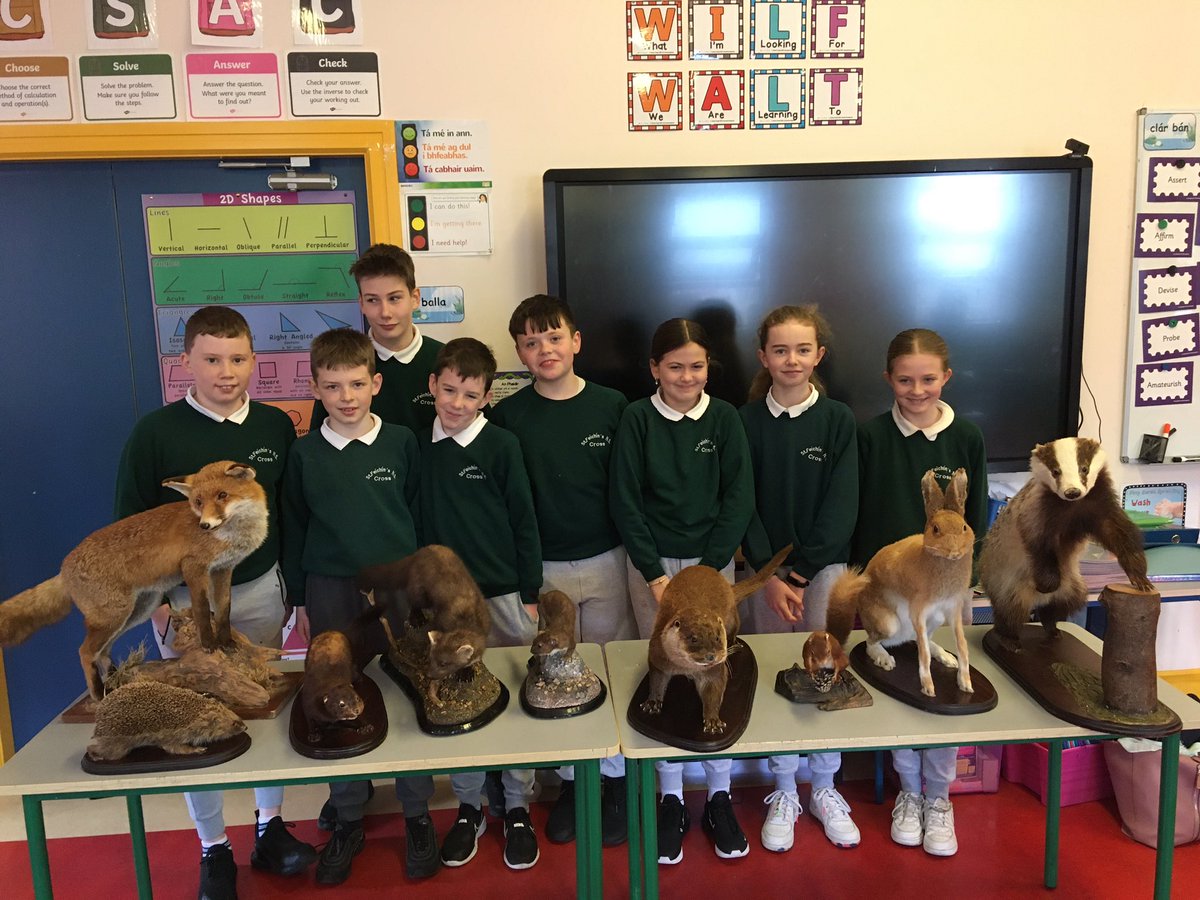 crossns1854's tweet photo. We really enjoyed learning about Irish mammals this week with Carol from @ConnemaraNP! @Irishwildlife https://t.co/R1f4uFKQJB