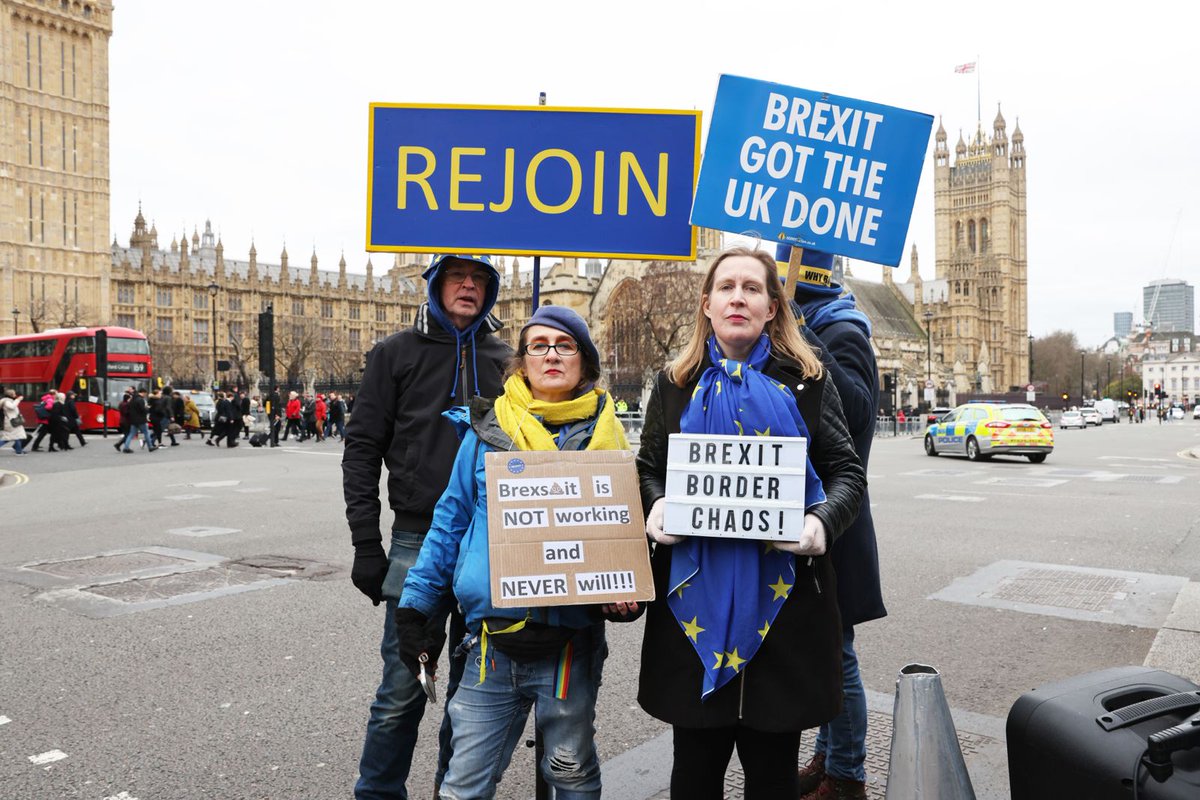 brow_la's tweet photo. With thanks to @Anthony_M_Kelly for taking some great photos of our protest for Brexit Day in London yesterday #Brexit4 #RejoinEU #BrexitHasFailed @WingletLove https://t.co/6HpLDI2jOJ