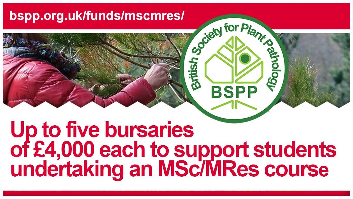 🌱Exciting news! The BSPP MSc/MRes Bursary Scheme is now accepting applications! Up to 5 bursaries worth GBP 4,000 each are available to support students pursuing MSc/MRes/MPhil courses with a focus on plant pathology. Learn more and apply: buff.ly/3mTY4O6 #PlantPathology