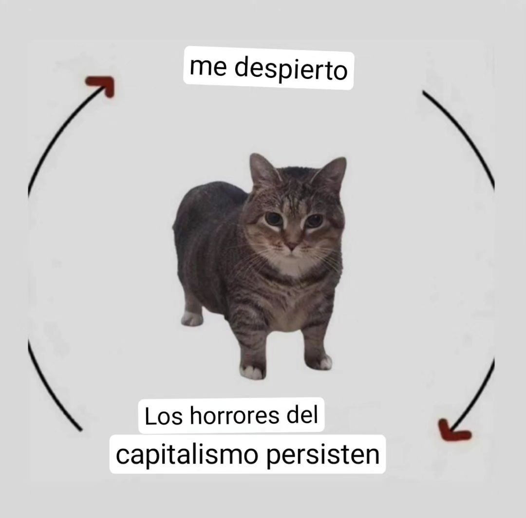 Infusión Ideológica 🫖🍵 (@infusionlogica) on Twitter photo 