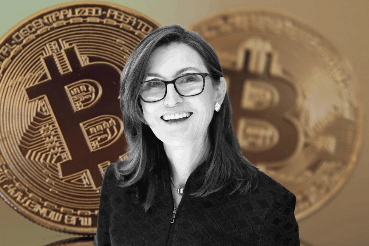 BitcoinArchive's tweet photo. JUST IN: Cathie Wood's ARK says optimal #Bitcoin allocation for portfolios is 19.4% 

Up 3x from 6.2% in 2022. https://t.co/um04NQqt4k