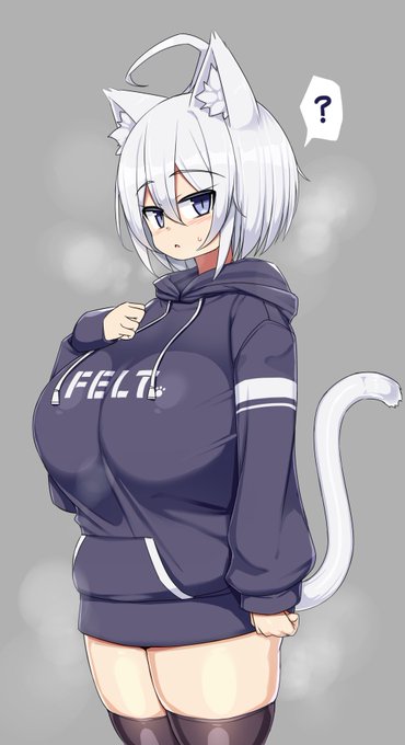 うちのこフェルト、湿度高め 