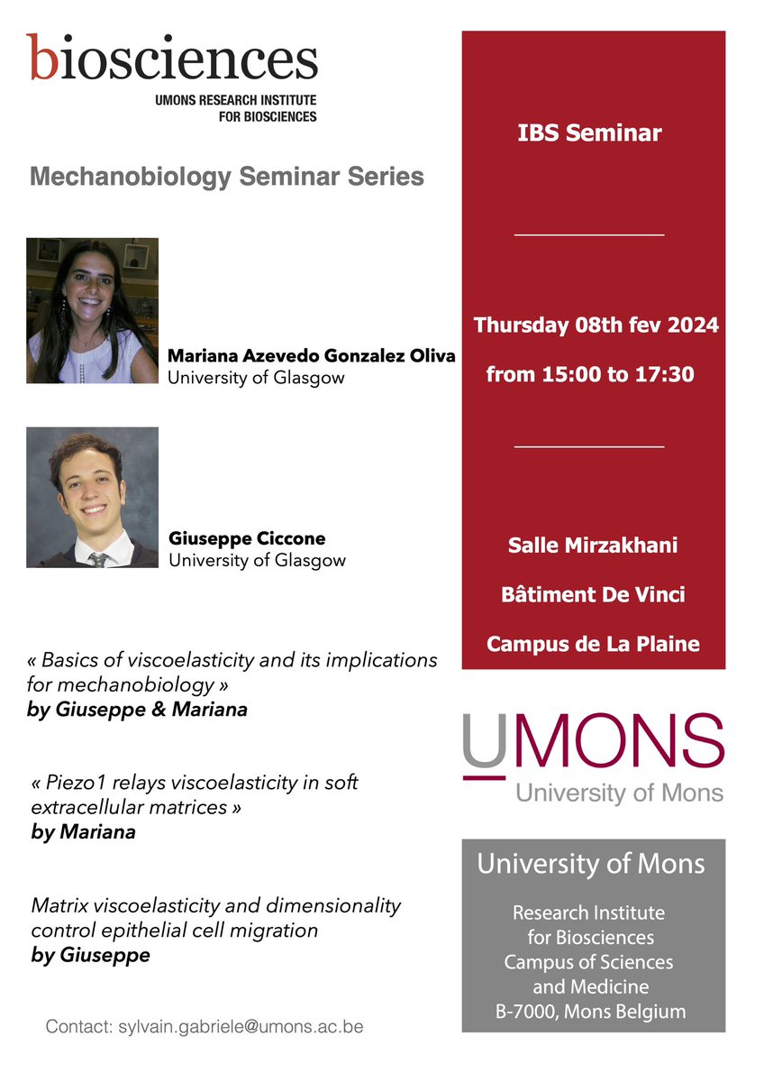 Sylvain GABRIELE (@gabrielesylvain) on Twitter photo Very happy to host next Thursday <a href="/MarianaAG0/">Mariana Azevedo G Oliva</a> and <a href="/GiusCiccone/">Giuseppe Ciccone</a> from <a href="/theglasgowcemi/">Centre for the Cellular Microenvironment</a> at the University of Glasgow to discuss about viscoelastic matrices and cell mechanobiology <a href="/UMONSnews/">Université de Mons</a> Very happy to host next Thursday <a href="/MarianaAG0/">Mariana Azevedo G Oliva</a> and <a href="/GiusCiccone/">Giuseppe Ciccone</a> from <a href="/theglasgowcemi/">Centre for the Cellular Microenvironment</a> at the University of Glasgow to discuss about viscoelastic matrices and cell mechanobiology <a href="/UMONSnews/">Université de Mons</a>