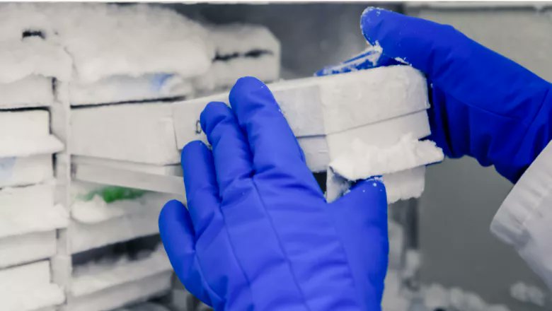 King’s Climate & Sustainability tweet media