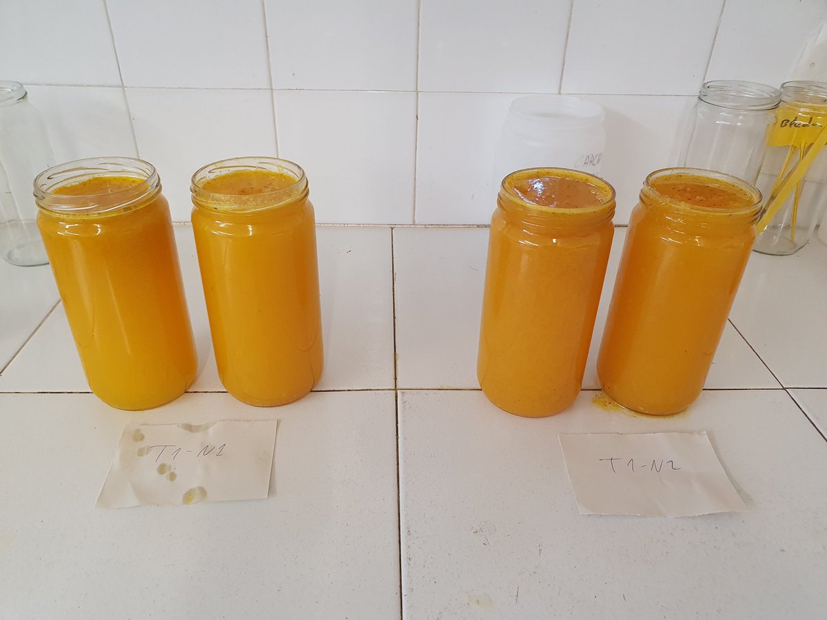 AgrocompostGVA's tweet photo. Recolectando naranja Navel Cara Cara en la Estación Experimental Agraria de Carcaixent 🍊🍊
Comparamos aplicación de estiércol vs compost y testigo.
En breve informamos de resultados👨‍🔬👨‍💻
¡Gracias por el apoyo!
@GVAagricultura 
@Chimo_gomez
@maitemaress 
@RaulMoralUMH https://t.co/84Wb25qJeM