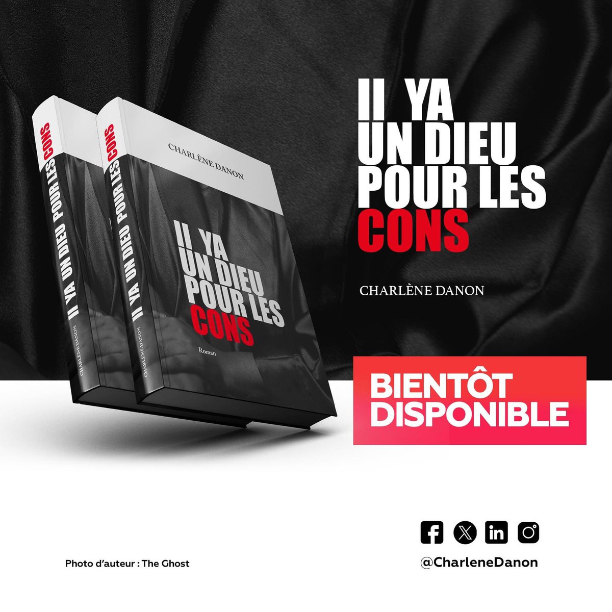 Il y a un Dieu pour les cons n’est pas qu’un livre. C’est un film d’erreurs. Autant un train peut en cacher un autre, dans ce livre, une histoire en couve de nombreuses autres.

Extrait d’un préface signée <a href="/IsraelGuebo/">Israël Guébo</a>