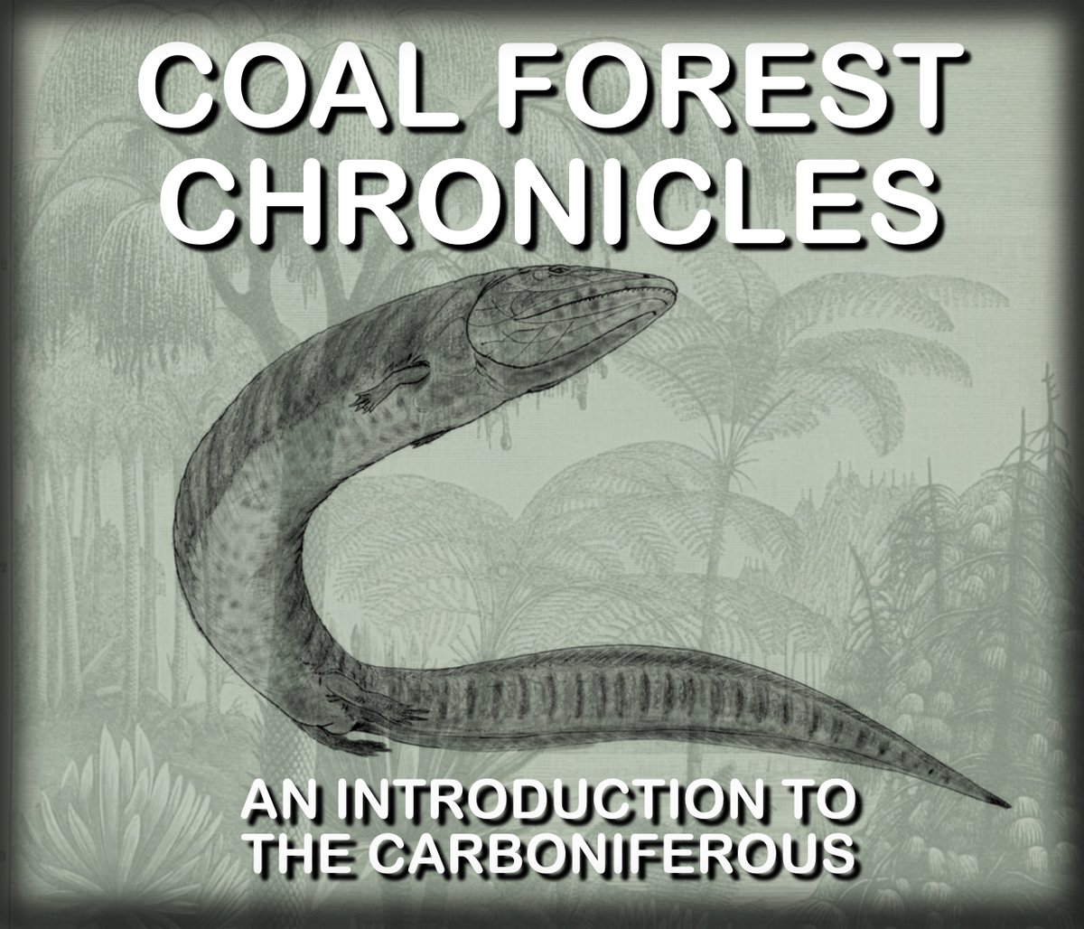 Our Friday Twilight event this month is on Friday 23 February with a talk entitled Coal Forest Chronicles. Tickets £10 and includes special evening admission to the Carboniferous Monsters exhibition. 7 – 8.30pm. Please call 01782 232323 or email museumevents@stoke.gov.uk to book