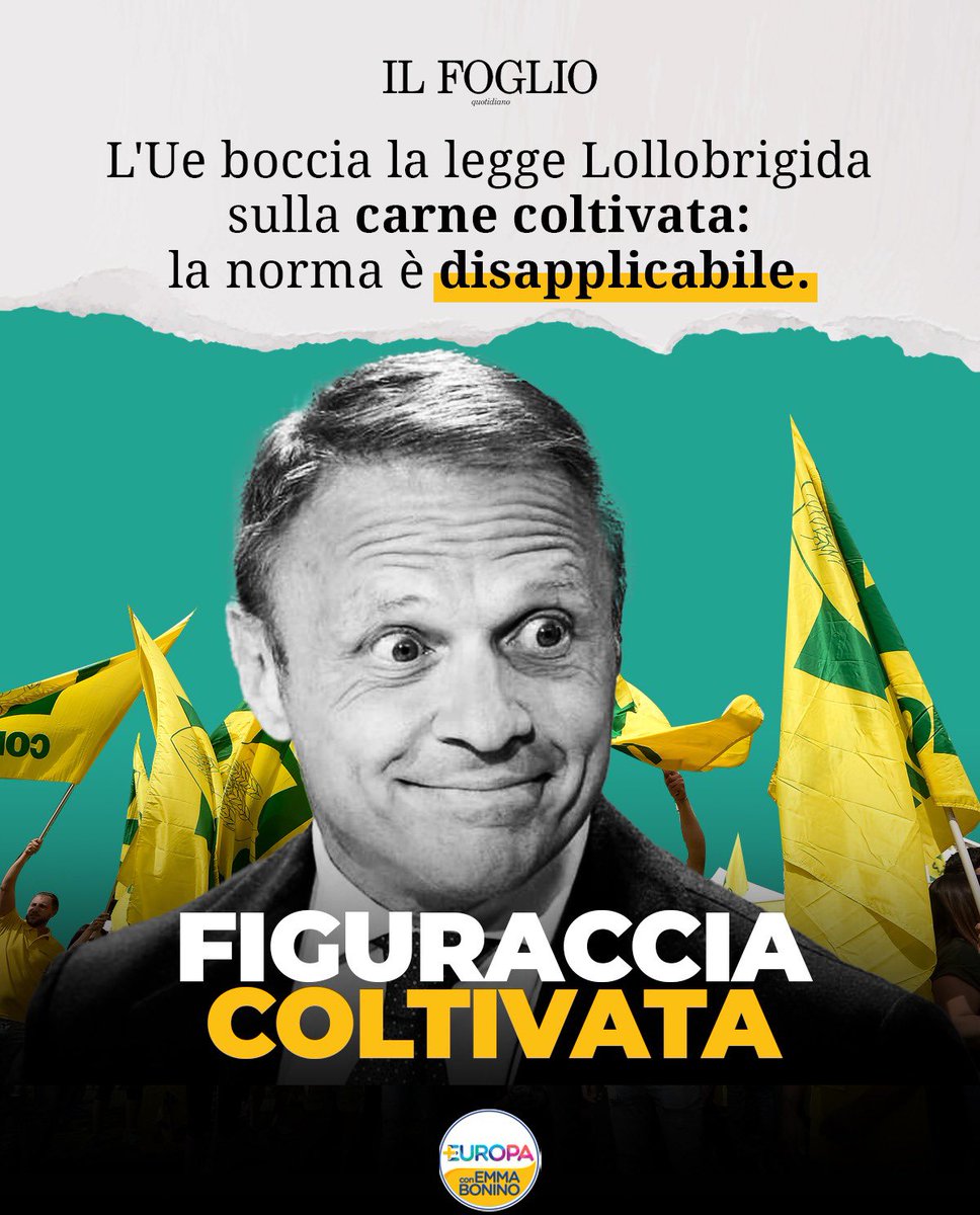 Lollobrigida ha fatto una legge per vietare la carne coltivata ma alla fine l’unica cosa che è stata vietata è la legge di Lollobrigida. La Commissione europea ha infatti sancito l’illeggittimità della legge italiana che vieta la produzione e la commercializzazione della