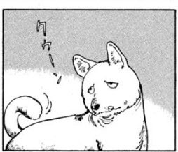 可愛くない犬 