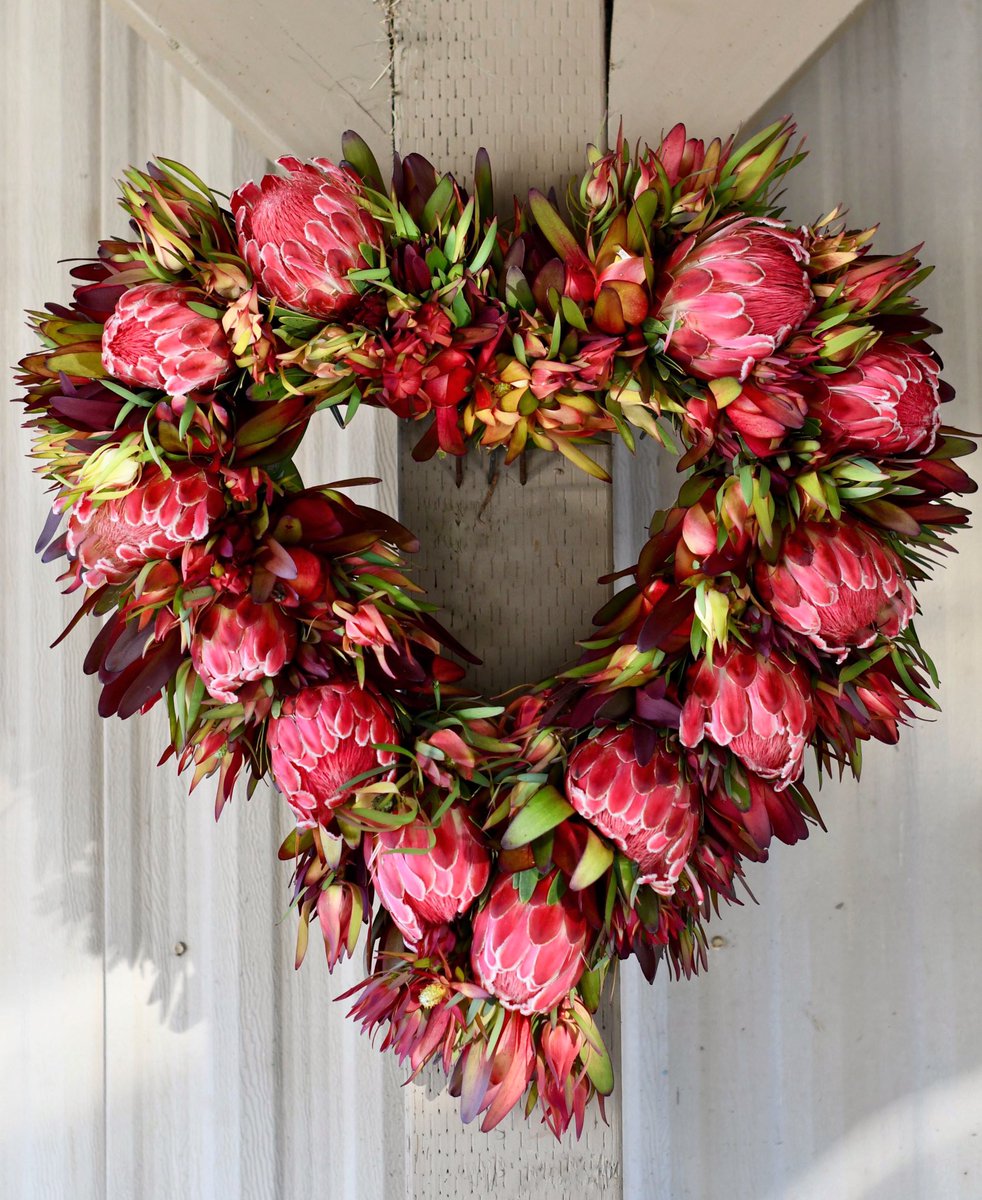 Welcome February 🌷💕🌸
#inspiredbynature #protea #wreathlove #cagrown