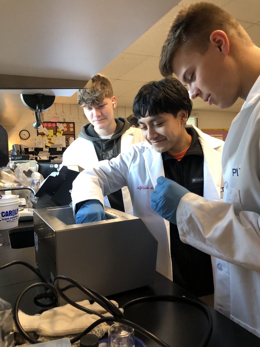 MrsPowellCCHS's tweet photo. PCR lab day 3 for MI Biomed. Amplifying DNA and making gels for analysis. @edvotek #CamelPride https://t.co/6QBLk7fDFw