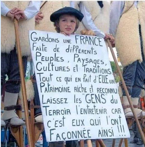 El Chacal tweet media