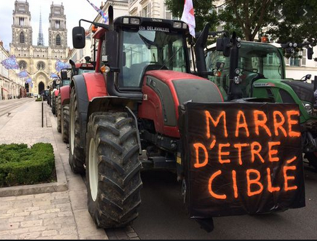 El Chacal tweet media