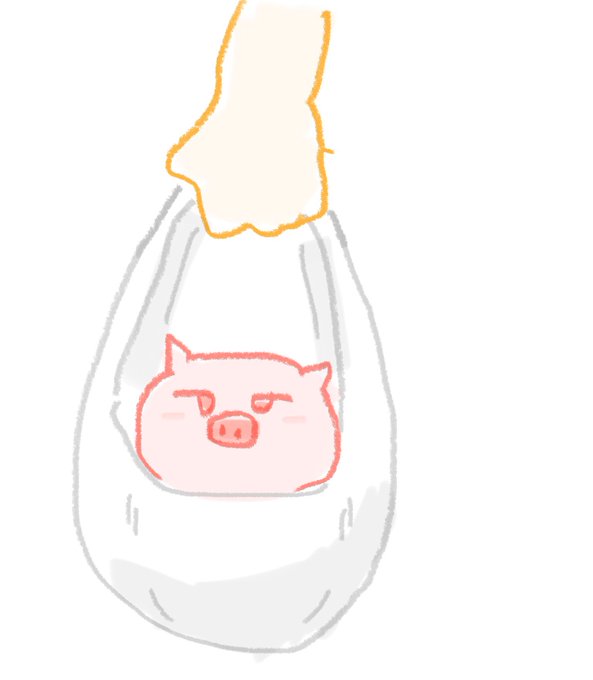 豚肉おいしい🐖 