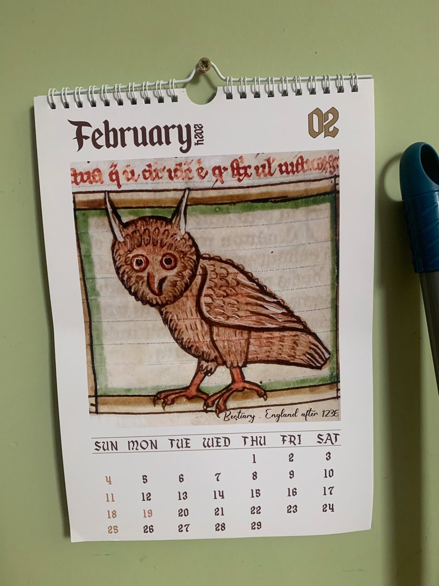 We have a new Owl of the Month to worship from the ancient scrolls!🦉 happy February all