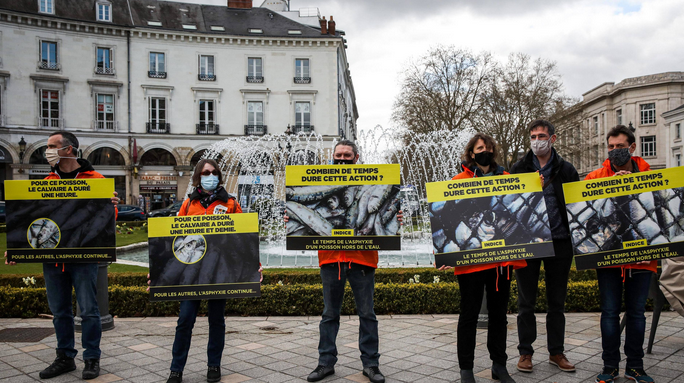 El Chacal tweet media