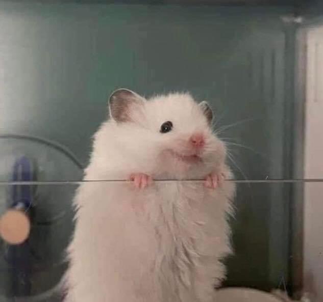 “te traje algo que sé que te va a gustar”

yo: