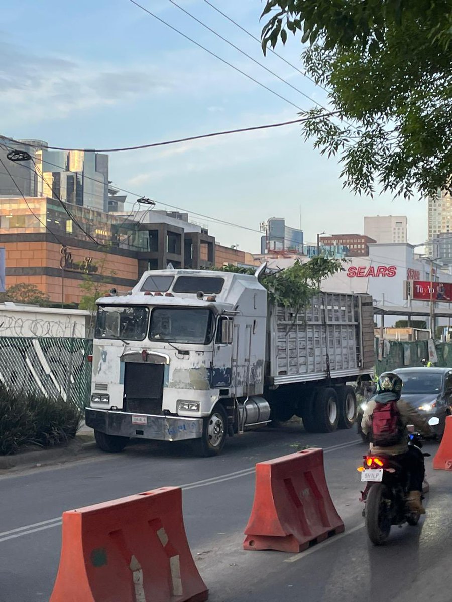 locomon2's tweet photo. @CuajiProgresa @AlcCuajimalpa @AlcaldiaAO @lialimon @SocCivilMx @santadfense @SantaFeUnidos Asi terminan con la vegetacion de #santafe de noche, #taladearboles clandestina, sin agua y sin arboles, acabando con nuestra colonia , #TrenInterurbano que no sirve @latinus_us https://t.co/d3XjYlD5OO