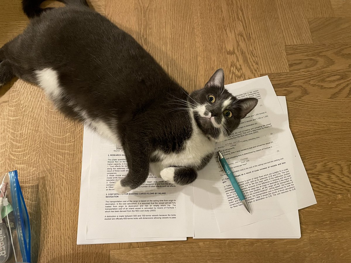 FilouTheCat1's tweet photo. Being on humans papers makes me extremely happy #CatsOfTwitter https://t.co/bYIEVbemA8
