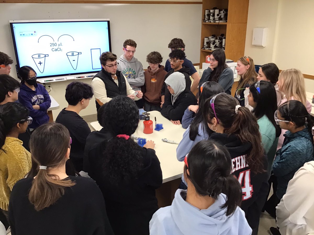 Watch out for this crew! They now know how to genetically engineer DNA! #APBio #mineolahs #mineolaproud