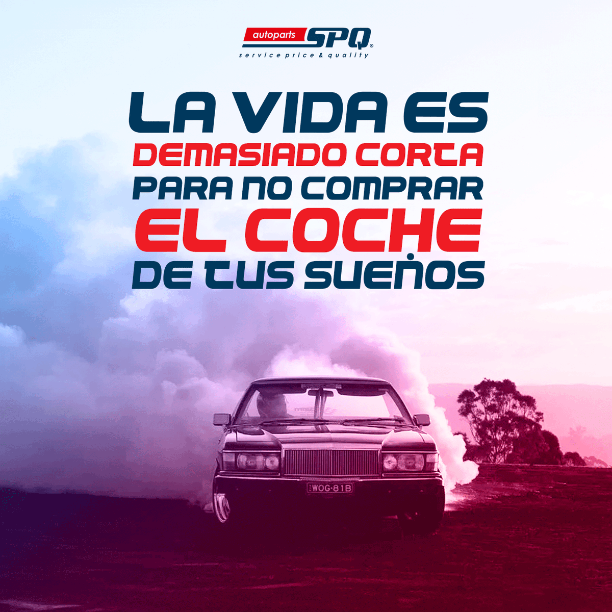 SPQautoparts's tweet photo. Es sin miedo al éxito😎 #Autos https://t.co/JLnk0IMHFl