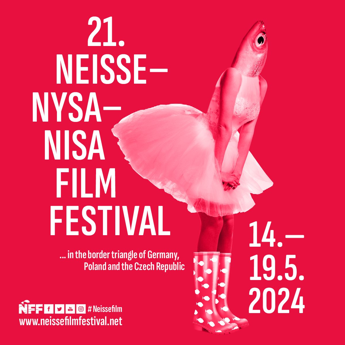 Neisse Film Festival tweet media