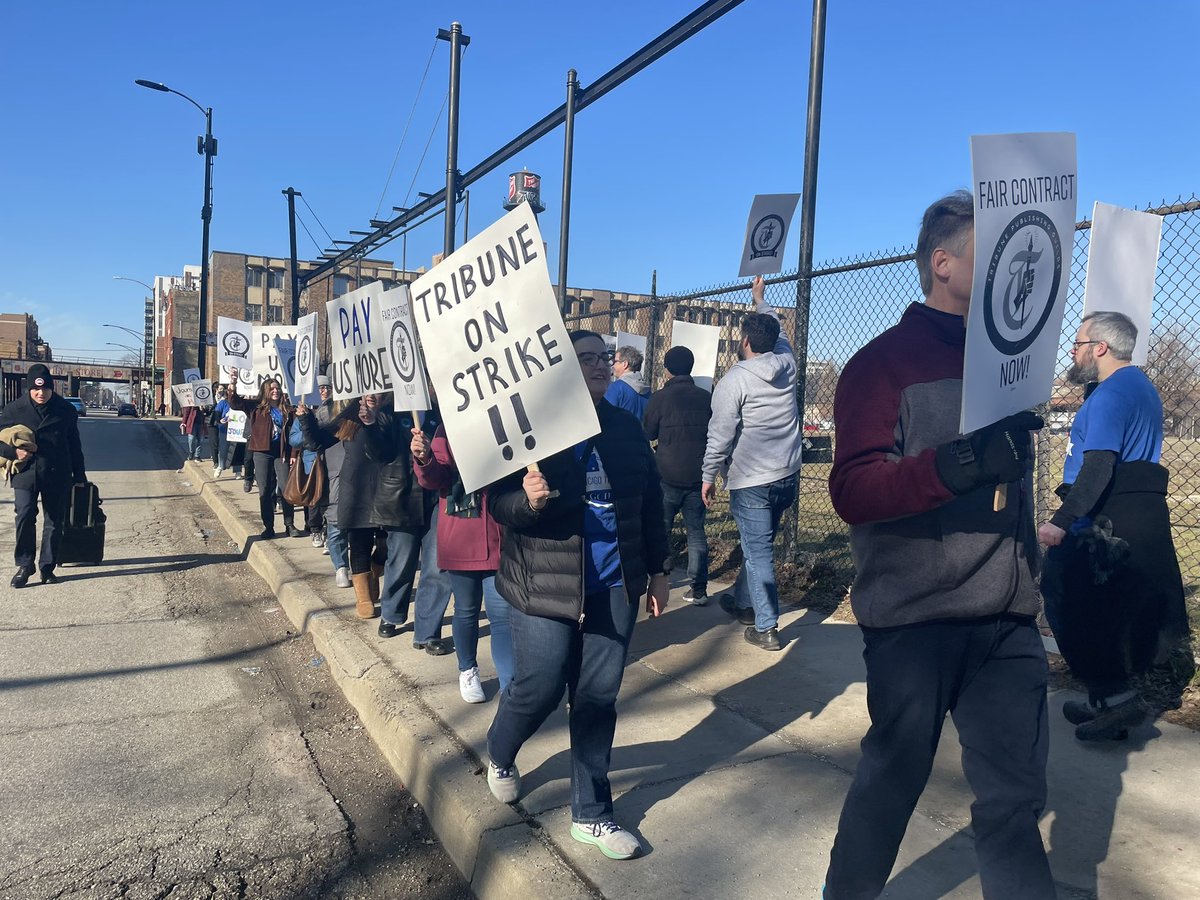 Chicago Tribune Guild tweet media