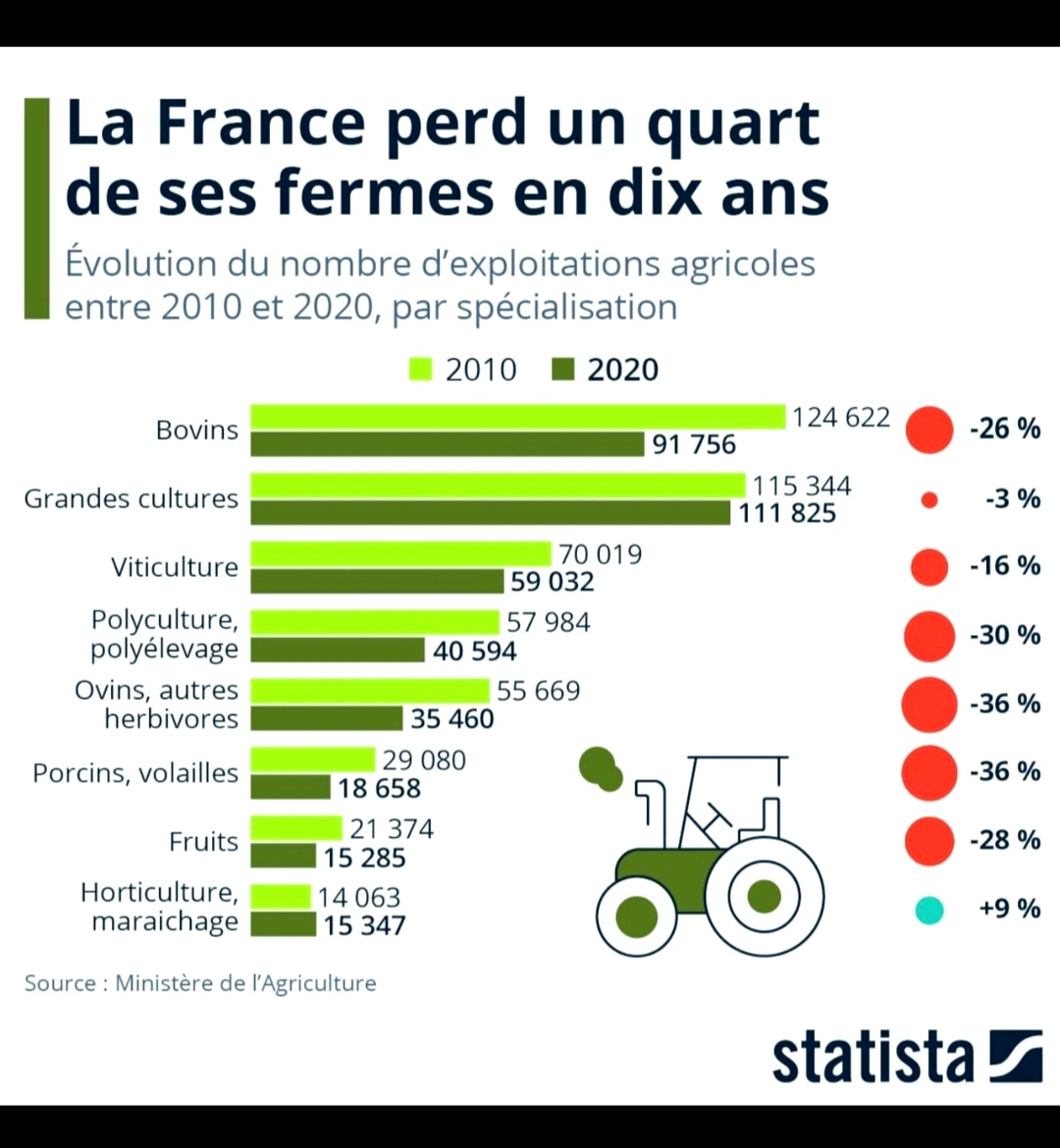 f_asselineau's tweet image. 🚨L'ANÉANTISSEMENT DE NOTRE AGRICULTURE EST 𝗩𝗢𝗨𝗟𝗨 PAR L'UE
De 2010 à 2020,le nombre d'exploitations a chuté de -25% et de -36% pour les porcs,volailles et ovins.
Signer de nouveaux accords de libre-échange dans ces conditions revient à avouer que cet anéantissement est VOULU