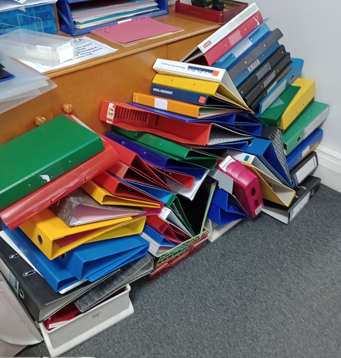 We're having a big clear out @HADCAcharity & our redundant A4 folders mountain 🏔️ is growing 🫣😱😲🤯. If anyone could reuse them please call in @HGcomhouse on Monday to collect (we're closed Fridays), otherwise they're tip bound, which seems a shame 😢 #Harrogate