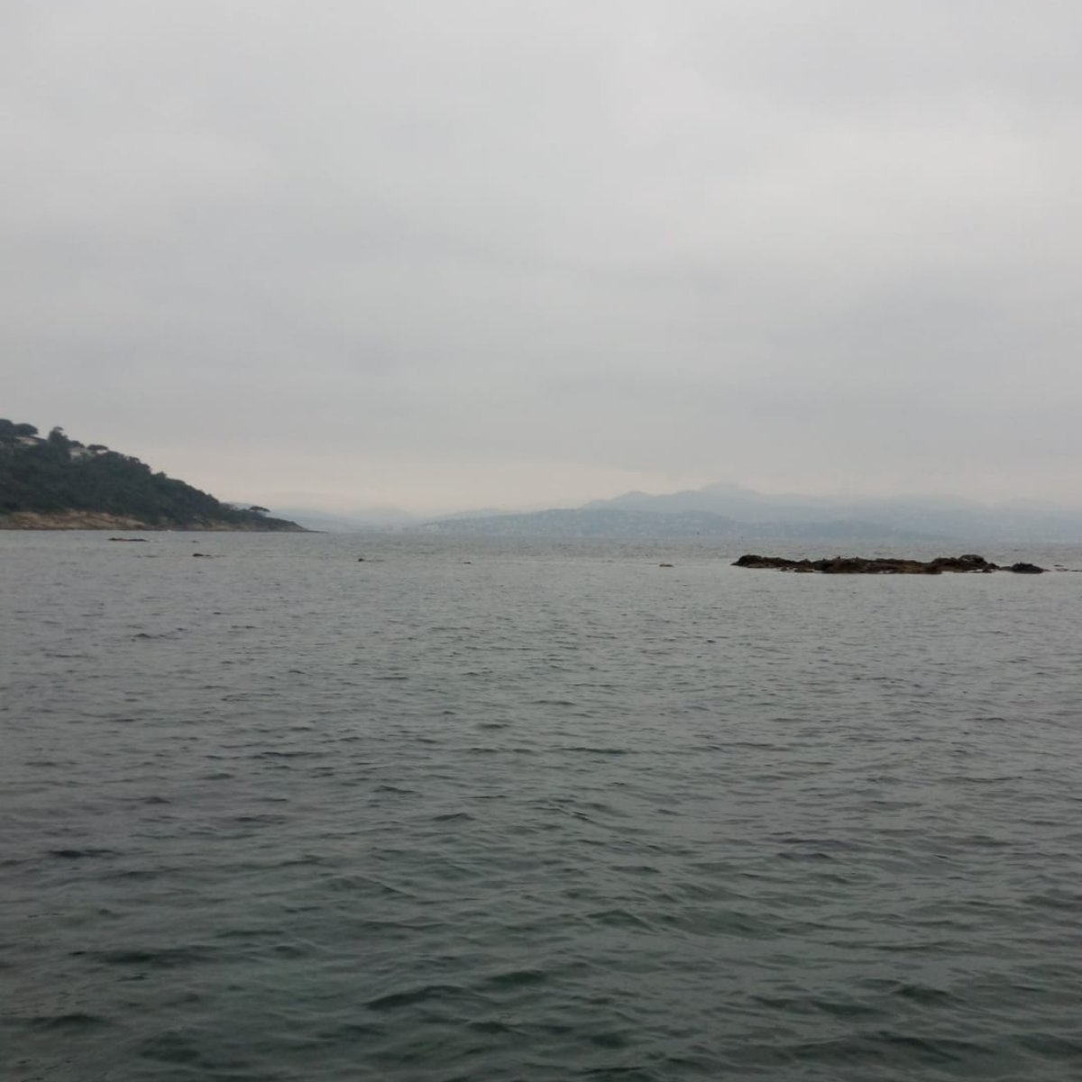 Planète Mer tweet media