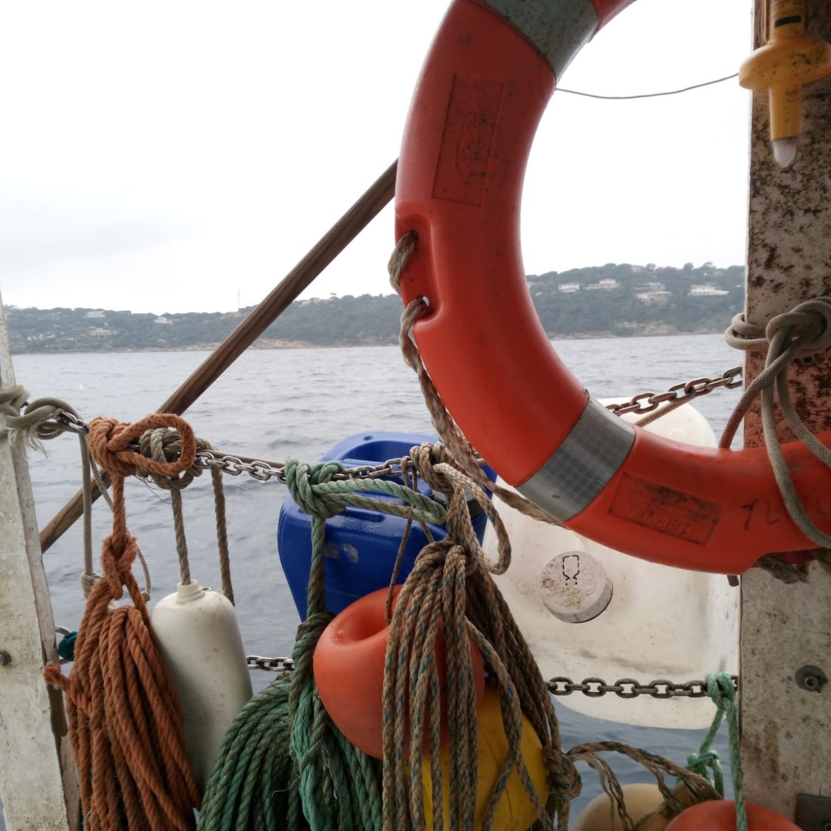 Planète Mer tweet media