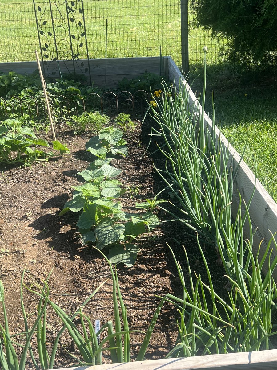 Thread By BabyD1111229 On Thread Reader App Thread Reader App thread-by-babyd1111229-on-thread-reader-app-thread-reader-app