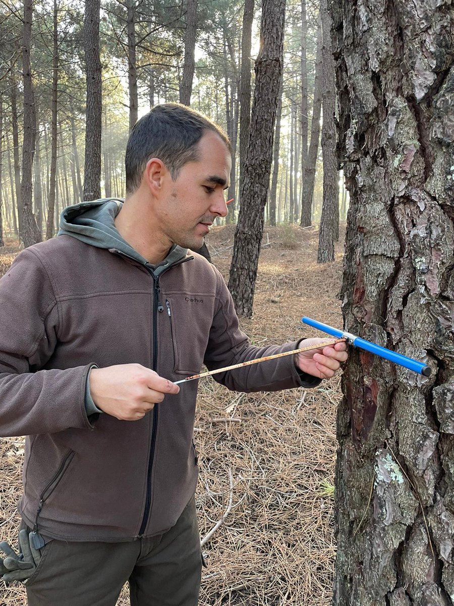 victor rolo tweet media