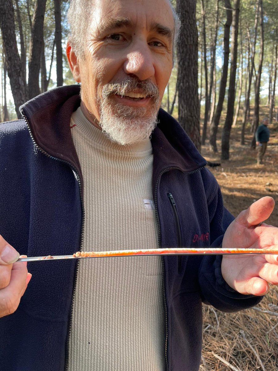 victor rolo tweet media