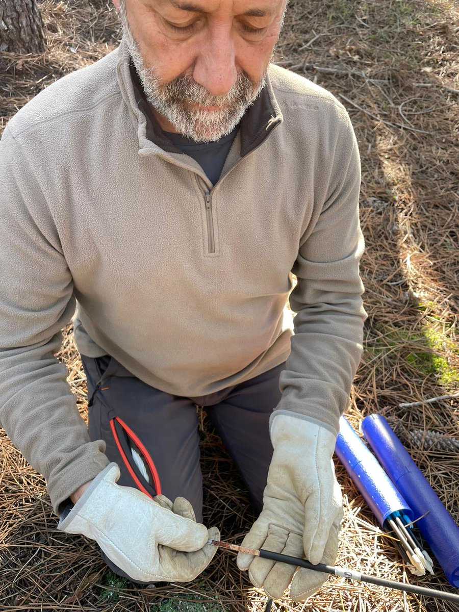 victor rolo (@vrolo_) on Twitter photo Primeros pasos para analizar el efecto de las claras en la adaptación de los bosques al cambio climático @SilvaadaptNet <a href="/indehesa/">Instituto INDEHESA</a> <a href="/UExDivulga/">Cultura Científica UEx</a> <a href="/UExPlasencia/">UEx Plasencia</a> Primeros pasos para analizar el efecto de las claras en la adaptación de los bosques al cambio climático @SilvaadaptNet <a href="/indehesa/">Instituto INDEHESA</a> <a href="/UExDivulga/">Cultura Científica UEx</a> <a href="/UExPlasencia/">UEx Plasencia</a>