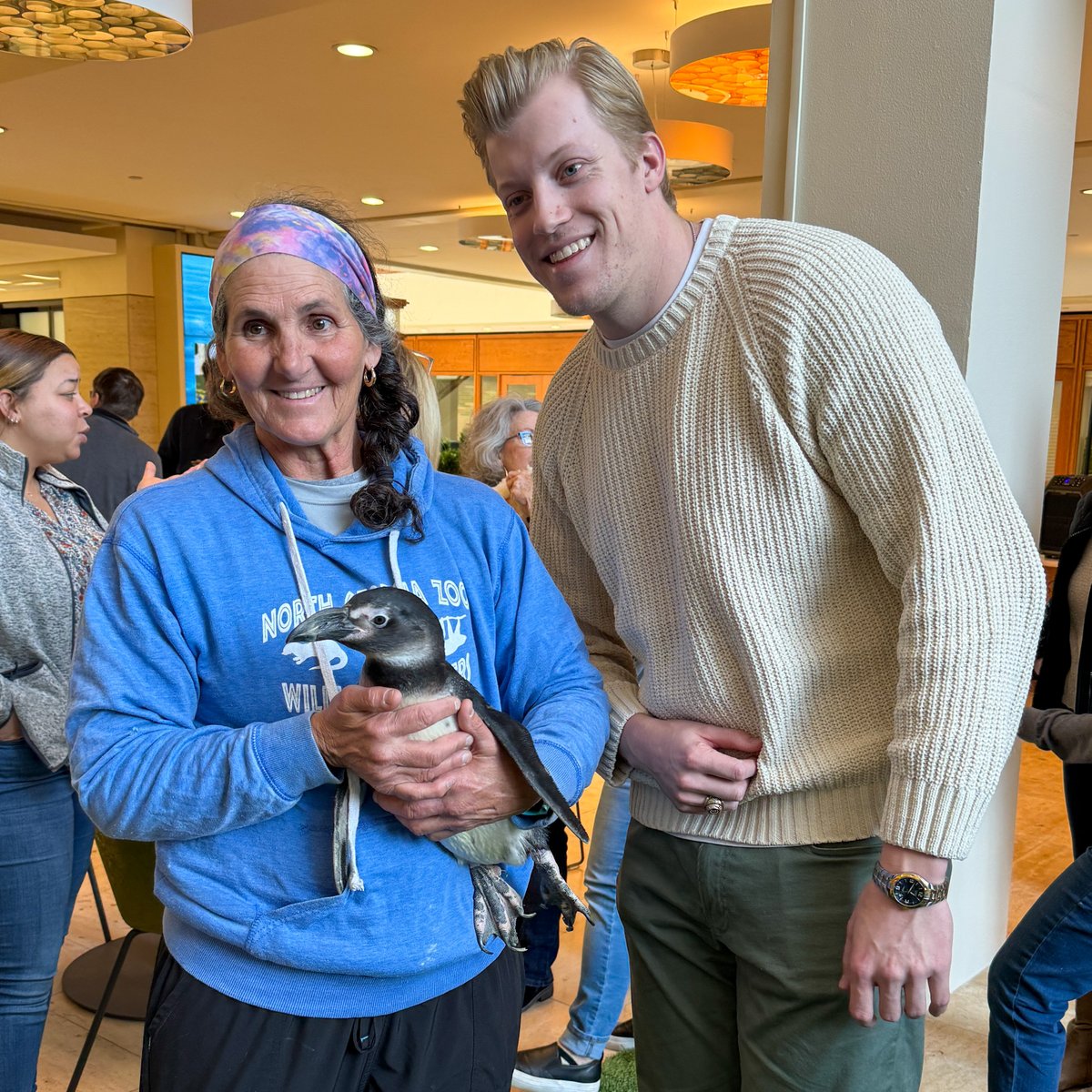SilverStudioAr2's tweet photo. Penguins and puppies, just a couple of the perks that come with an office space at Terraces.

#silverstudioarchitects #impactandintegrity #atlantaarchitecture #architecture #architect #design #design  #atlantaga #multifamilydesign #newoffice #pettingzoo #penguin #puppies https://t.co/EnD8JTTfN8
