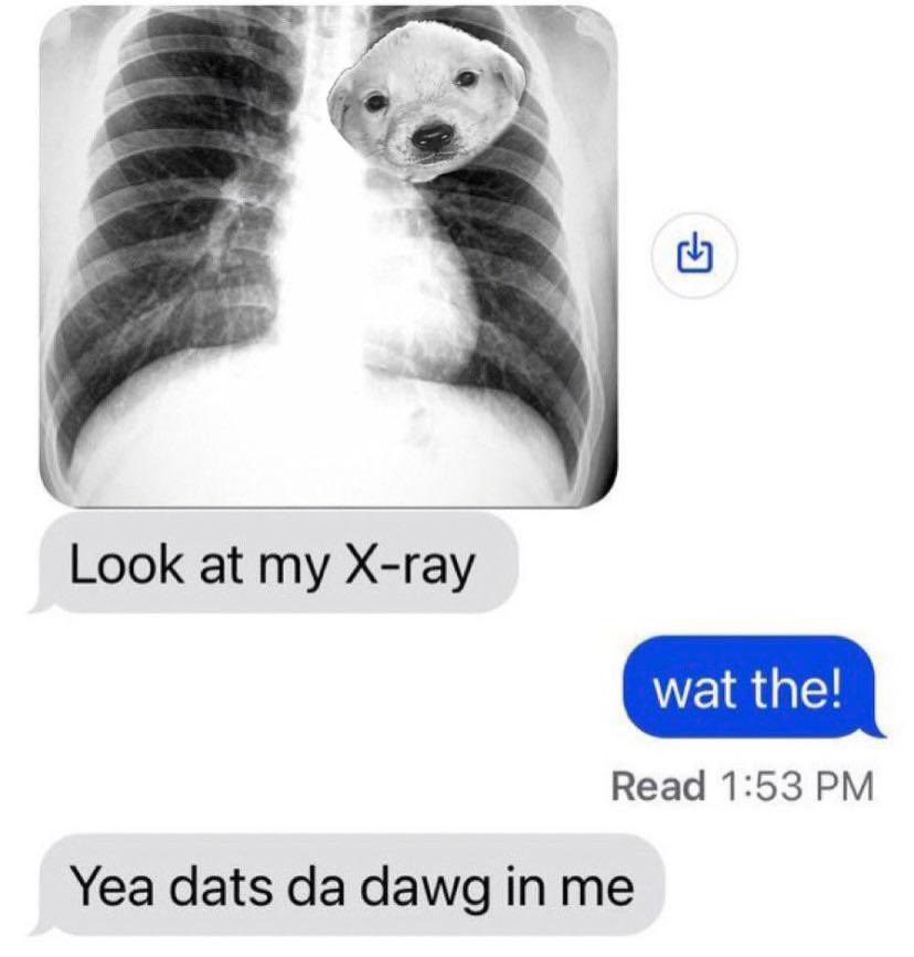 jotchuacoinsol's tweet photo. We got the dawg 🐶

- $JOTCHUA https://t.co/snDkpo4OEa