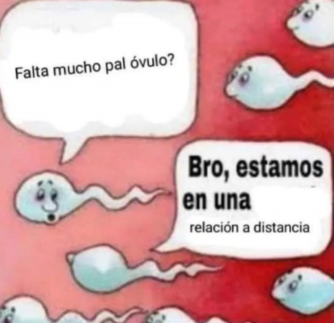 souul ​​❄️​​ (@frigosouul) on Twitter photo 