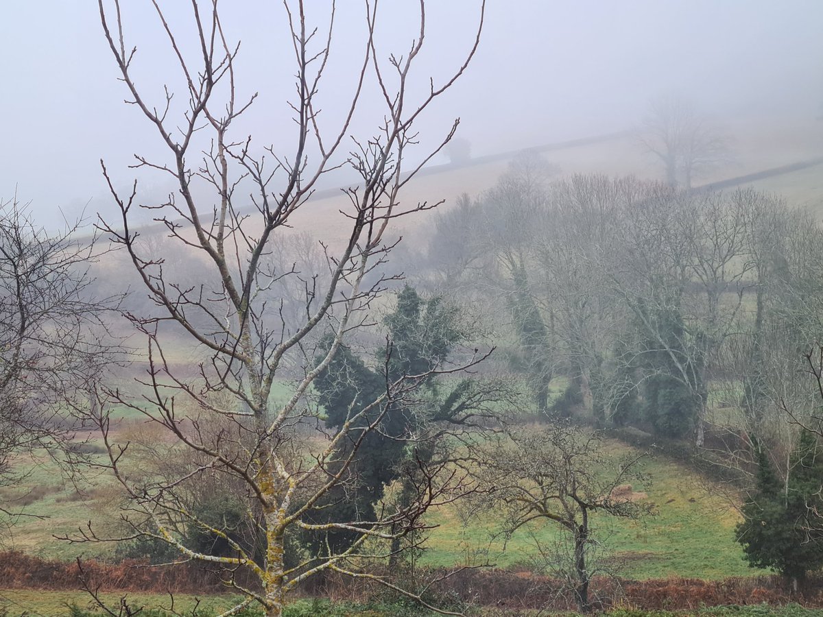Heerlijkheyd's tweet image. Het miezert vandaag dus binnen aan de slag. Dit jaar heb ik 5 spijkerbroeken totaal versleten en van 3 van deze broeken een korte broek voor de zomer gemaakt...
#Frankrijk #Puydedôme #naaimachine