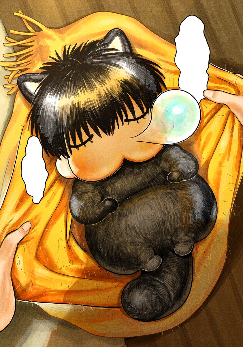 animal ears 1boy cat ears male focus sleeping solo focus tail  illustration images