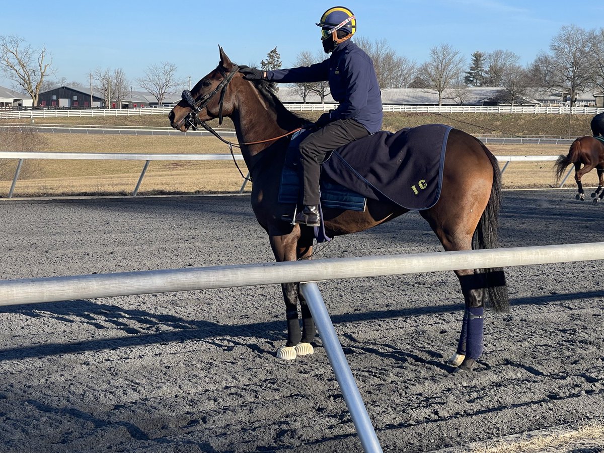 Didia (Arg) back ⁦@keeneland⁩