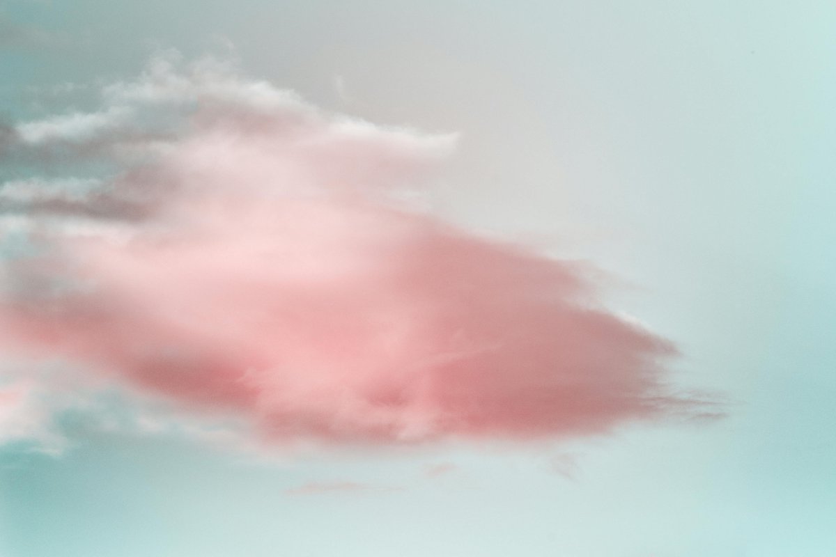 ewanlav's tweet photo. Exquisite! The delicate brushstrokes and attention to detail make this artwork stand out. #DelicateBeauty https://t.co/VhcrCjrlR5