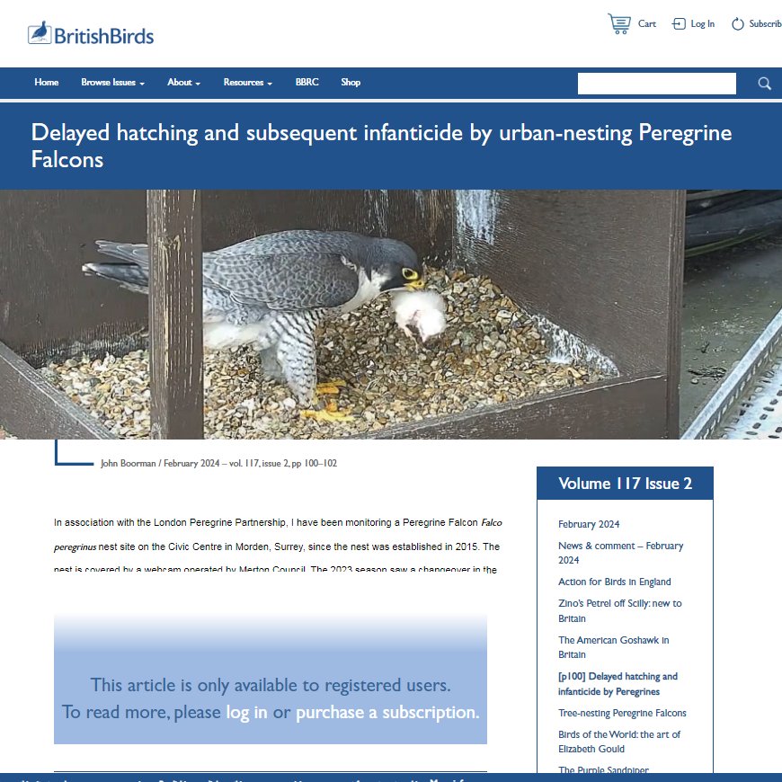 Morden Peregrines. My report of last year's unusually poor incubation, delayed hatching, and subsequent infanticide has been published today in @britishbirds. With thanks to @eddrewitt and @LdnPeregrines for their help and guidance with my initial draft.