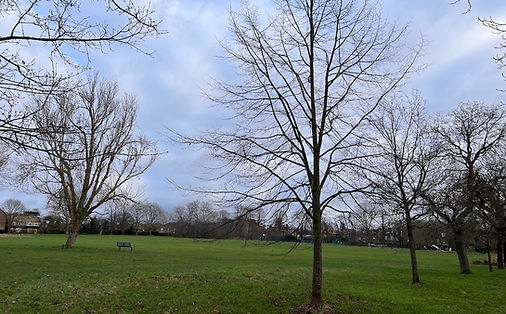 EalingParks's tweet photo. With the weather brightening up, getting out for a local walk is on the cards. Have you ever been to Brent Lodge Park? Perhaps you've heard its nickname: Bunny Park.
It's our February Park of the Month! Find out more: https://t.co/QpHnGQZ5ncβ¦
#ealing #localparks #greenspaces https://t.co/k1XvpYa28Q