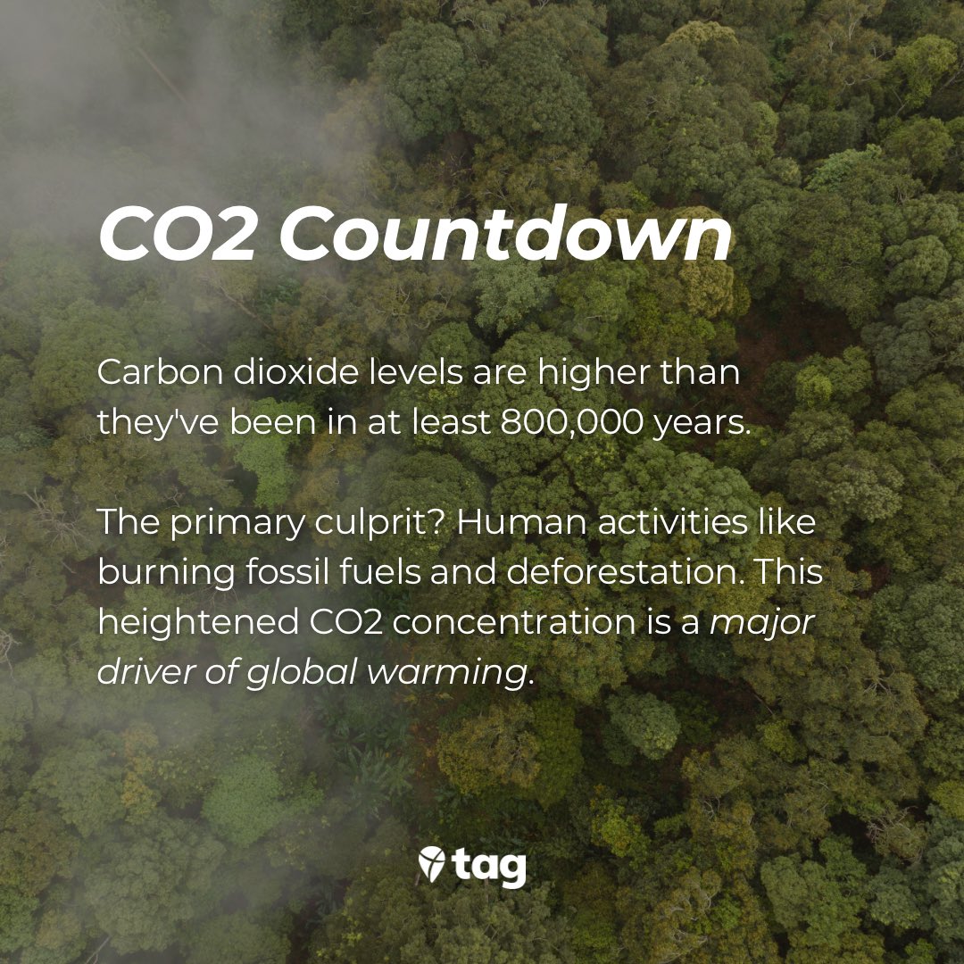 TakeActionEdu's tweet photo. 🤓 Did you know? Climate change affects more than just temperature. From impacting ecosystems to global initiatives, there's a world of fascinating facts. Let's learn together and be inspired to take action! 🌎🔍 #ClimateFacts #LearnAndAct https://t.co/Lxqp51j1Tn