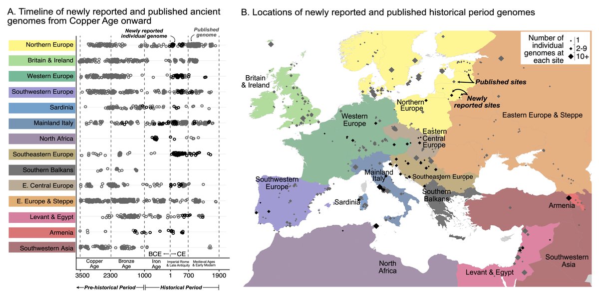 antmarge's tweet photo. We looked beyond Rome and collected over 200 ancient genomes from Europe and the Mediterranean with the help of local museum directors and archaeologists.  @PinhasiL processed the specimens. We analyzed these new genomes alongside published data. https://t.co/WYCh9Us0nl