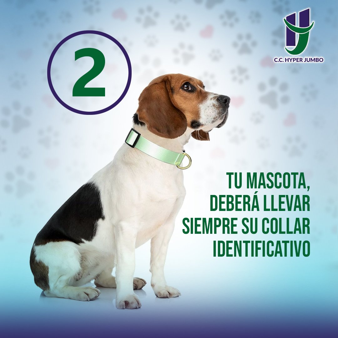 hyperjumbomalI's tweet photo. Somos Pet Friendly. 🐕💙
Conoce las normas en nuestras historias destacadas y visítanos con toda la familia. 😁😍
¡Te esperamos!
#hyperjumbo #maracay #petfriendly https://t.co/ATTySbTGQE